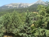 Vue de la terrasse sur la chaine de La Blanche